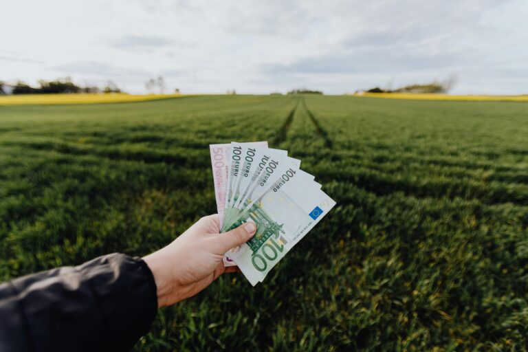 Hand holding euro banknotes against a lush green rural field, symbolizing financial growth.